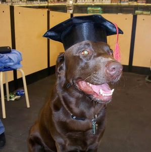 Meet your Posher, Rick